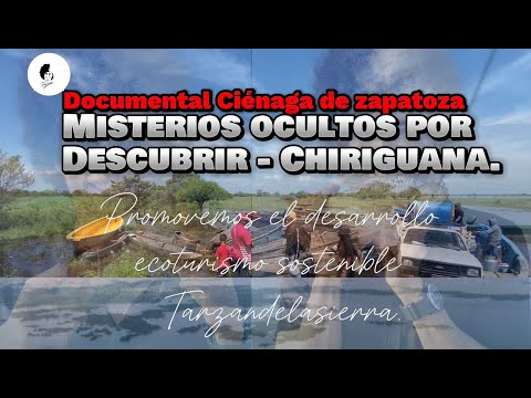 Documental En lo mas Profundo Ciénaga de Zapatosa por Chiriguana Cesar Colombia. Dr:Tarzandelasierra