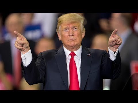 Trump und der Staatsstreich der Konzerne 2019/HD | Deine Doku