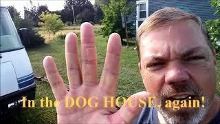 DIY Dog House / Tim&#39;s in the Doghouse