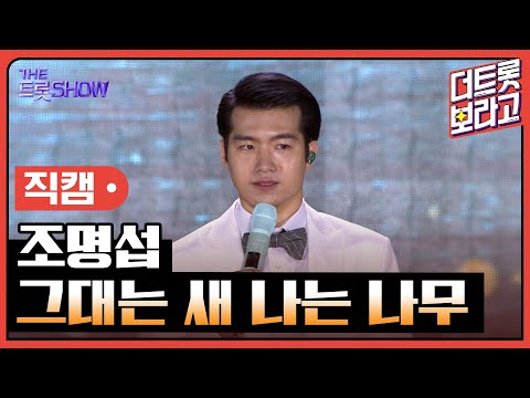 [세로 직캠]조명섭¸ 그대는 새 나는 나무 | 트롯쇼 : 김해특집 230522