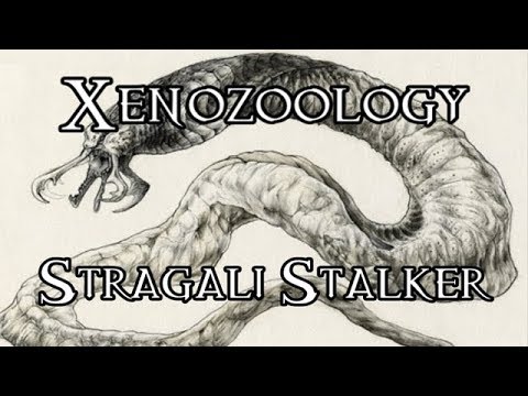 Xenozoology: Stragali Stalker - 40K Theories