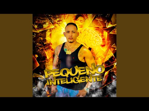 Pequeno Inteligente