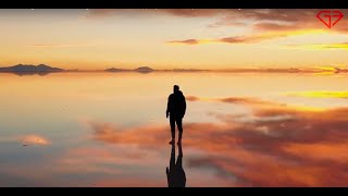 Our brain needs a better world