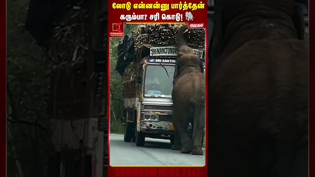 லோடு என்னன்னு பார்த்தேன் கரும்பா? சரி கொடு! | Erode | Elephant | Sugarcane | Kumudam News