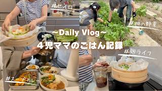 【主婦ルーティン】特売の手羽元でスープカレー🍛セイロで簡単週末ごはんなど２日分の夕飯記録です🙋‍♀️コバエ対策購入品と畑の収穫なども🫶