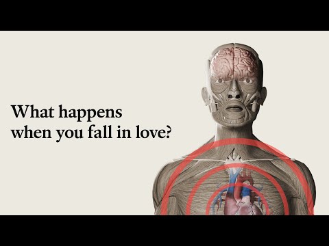 「恋は盲目」は本当？！恋をすると脳はどうなる？
