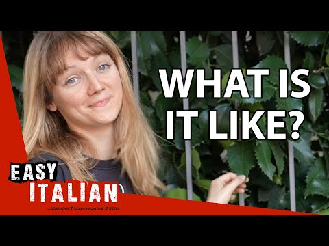 Adjectives in Italian | Super Easy Italian 23