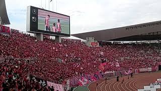 2019 大阪ダービー試合後 Cerezo満開