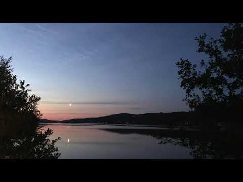 Robert Schumann - Kinderszenen (Der Dichter Spricht) - Op. 15 No. 13 - D. Dubois