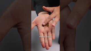 Thumbnail video 2