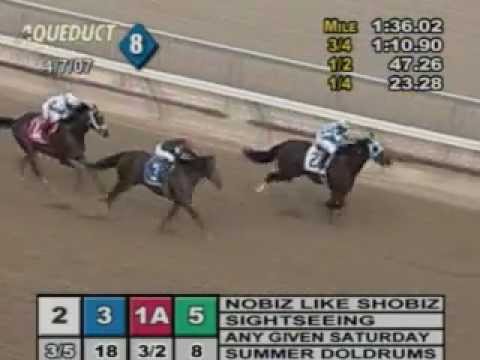 2007 Wood Memorial Stakes - Nobiz Like Shobiz