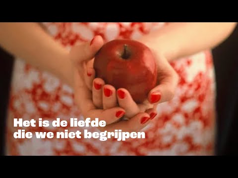 Het is de liefde die we niet begrijpen (2009)