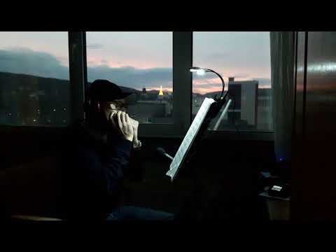 "Over the Rainbow" from Wizard of Oz Cover Der Zauberer von Oz Chromatic Harmonica Mundharmonika