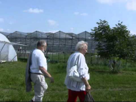 Tomatenfest bei der Gärtnerei Sannmann