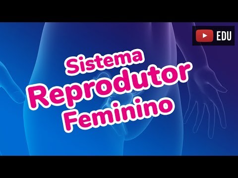 SISTEMA REPRODUTOR FEMININO - Prof. Paulo Jubilut
