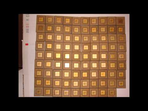 A variety of computer chip's