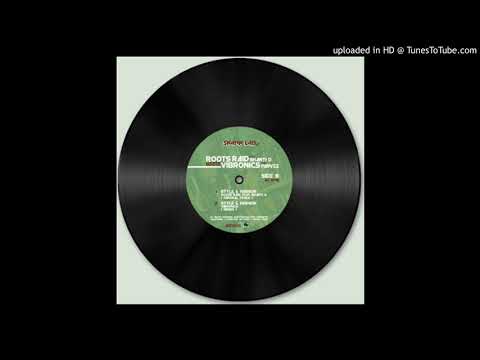 Roots Raid ft Shanti D - Style  Fashion