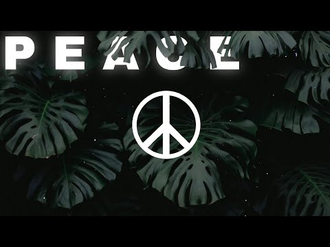 💀SEARCHING FOR YOU_ Sabina Beyli ☮️