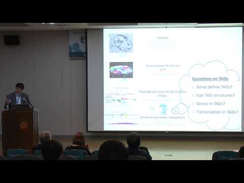 [EWHA-JAX Joint Symposium] 3D Genome Organization and Transcription