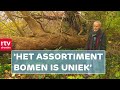 Verborgen schatten in de oudste schooltuin van Nederland | RTV Drenthe