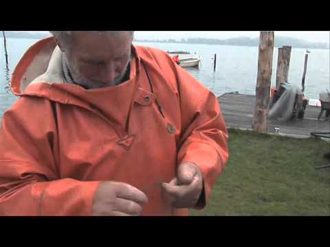 Sometimes king, sometimes beggar. A fisherman's life on Schleswig Holm.mp4
