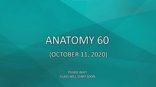 Anatomy 60 (October 11, 2020)