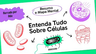 Citologia Estuda O Que