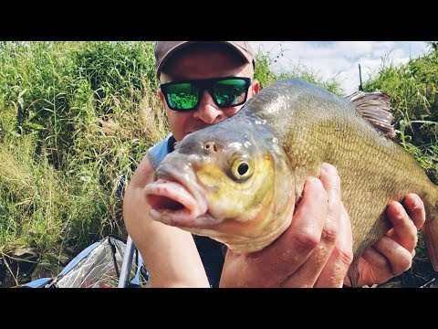 409 SĄ KULE SĄ RYBY - RZEKA NA 100 GRAMÓW