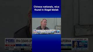 Download lagu EPA cleans up shady underground China-linked biolab in CA #shorts mp3