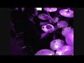 Chris Brown Ft Kevin Mccall STRIP Live Arrangement Phenom