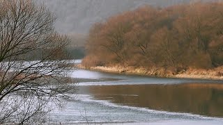Рыбалка на днестре в ивано-франковской обл