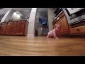 Giant Baby Attacking The GoPro