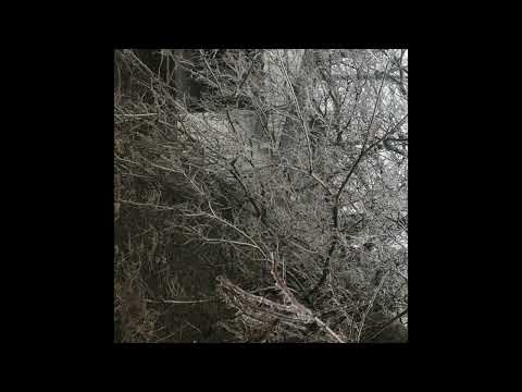 Mvck Nyce - Immvculvte Vol. 1 (EP)