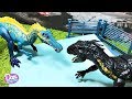 Dinosaur Battle Championship! Dinosaur Fight T-Rex, Indoraptor & Suchomimus