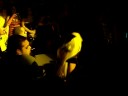 Lady Gaga Performing LIVE At Passion Nightclub