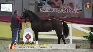 Video of Benidorm S