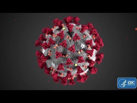 New York Coronavirus Latest