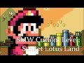 SMW Custom Level Sunset Lotus Field