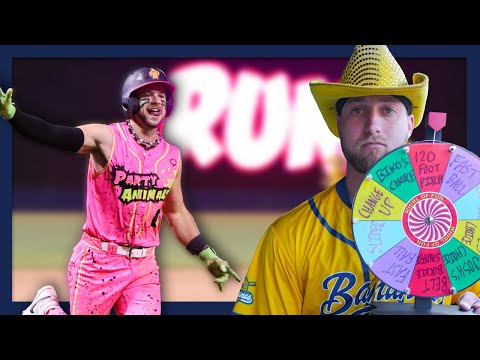 Every Pitch Decided By Random Wheel | GONE WRONG!