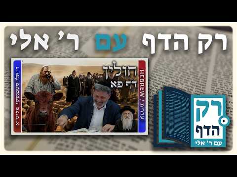 חזרה - חולין דף פא | "רק הדף" עם ר' אלי סטפנסקי