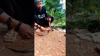 Download lagu tuh ngagejrot🤭 mp3