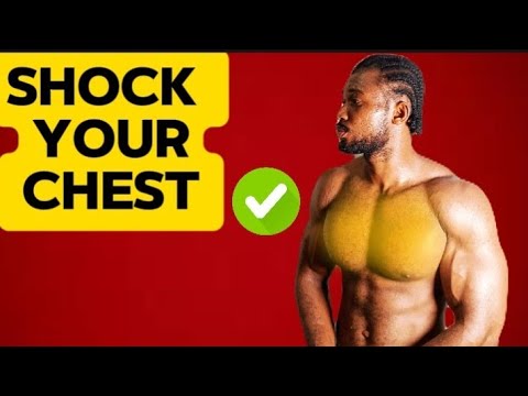 Ultimate Dumbbell Chest Workout