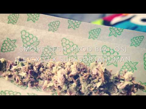 Smoke Sesh - Ice Cxld x SupaSortaHuman Prod Big Los