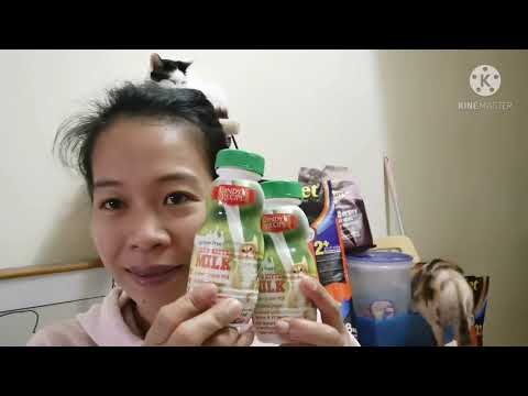 WHAT MILK TO FEED TO CATS & KITTEN | CAT MILK PRODUCT REVIEW | A DAY IN MY LIFE WITH CATS.