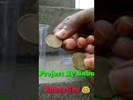Science Project For 7th Students Working Model Easy Science Exhibition Project Class Shorts