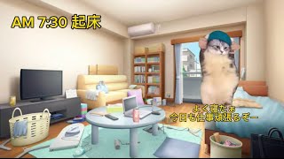 コォラルの1日を動画にしてみた【猫ミーム】【猫マニ】