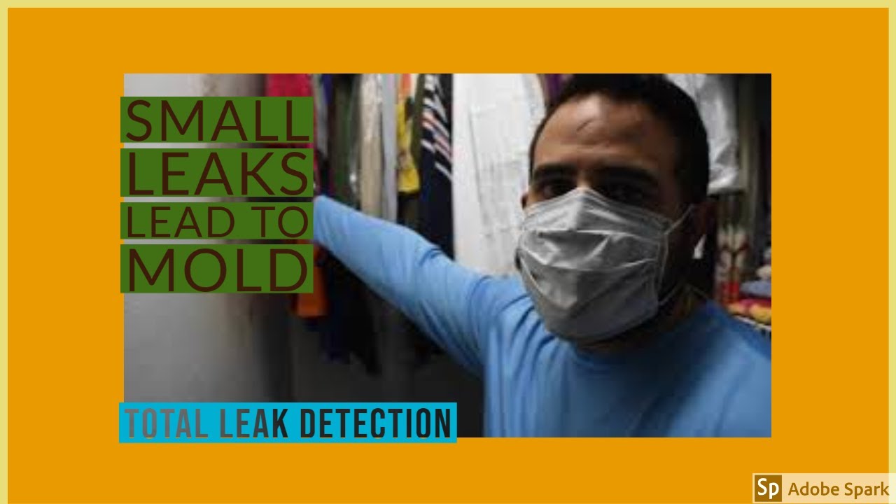 Leak Detection in Palmetto Bay