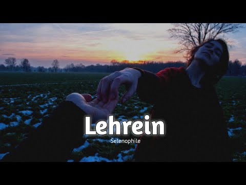 Lehrein (Slowed+Reverb) | Amit Trivedi | Selenophile