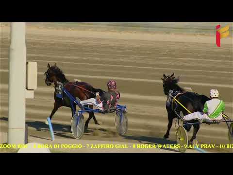 V Corsa del 18 Giugno 2022 - 5 Anni ed oltre Gentlemen - Metri 1600