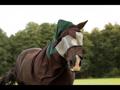 Lennys Geschichte / Früher - Heute